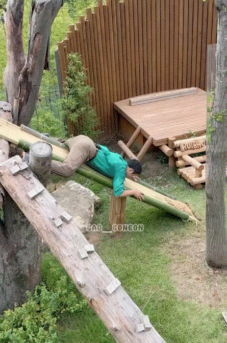 XcpOsq.gif