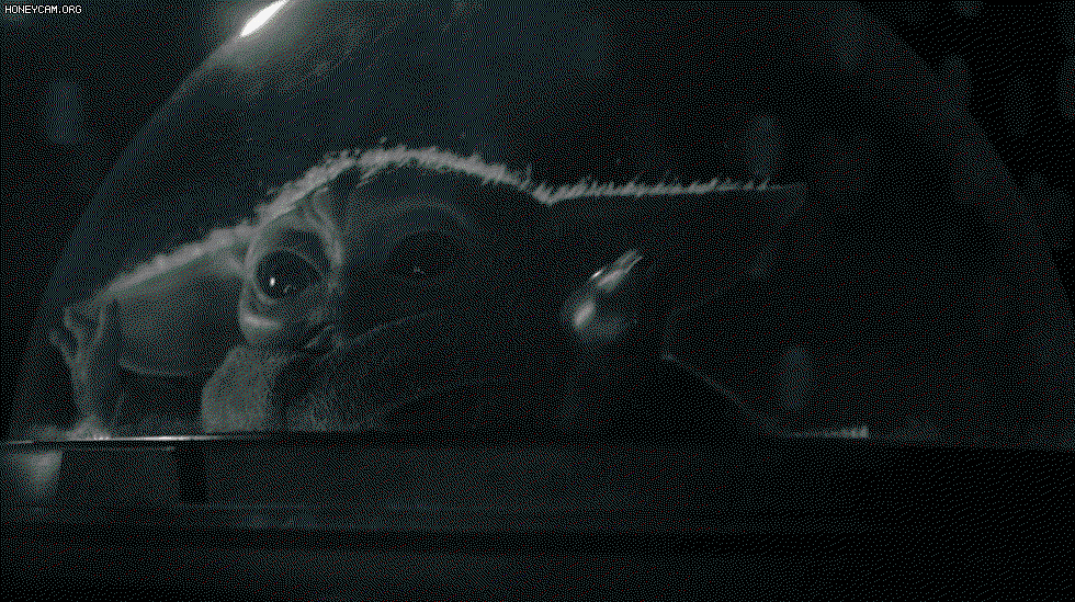 XcsISI.gif