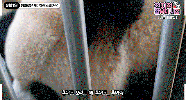 XdHKYr.gif