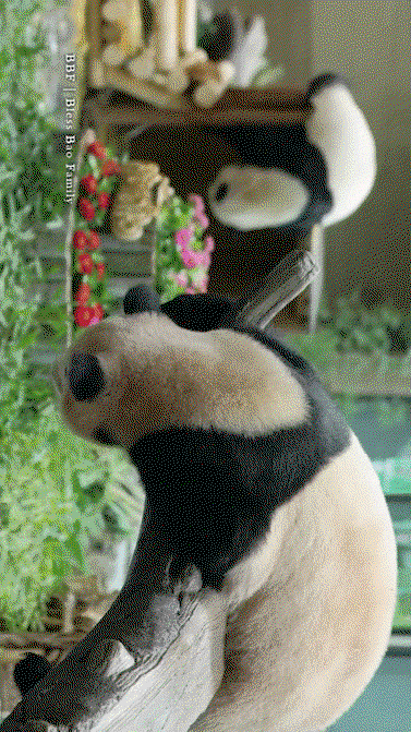 XhzBUr.gif