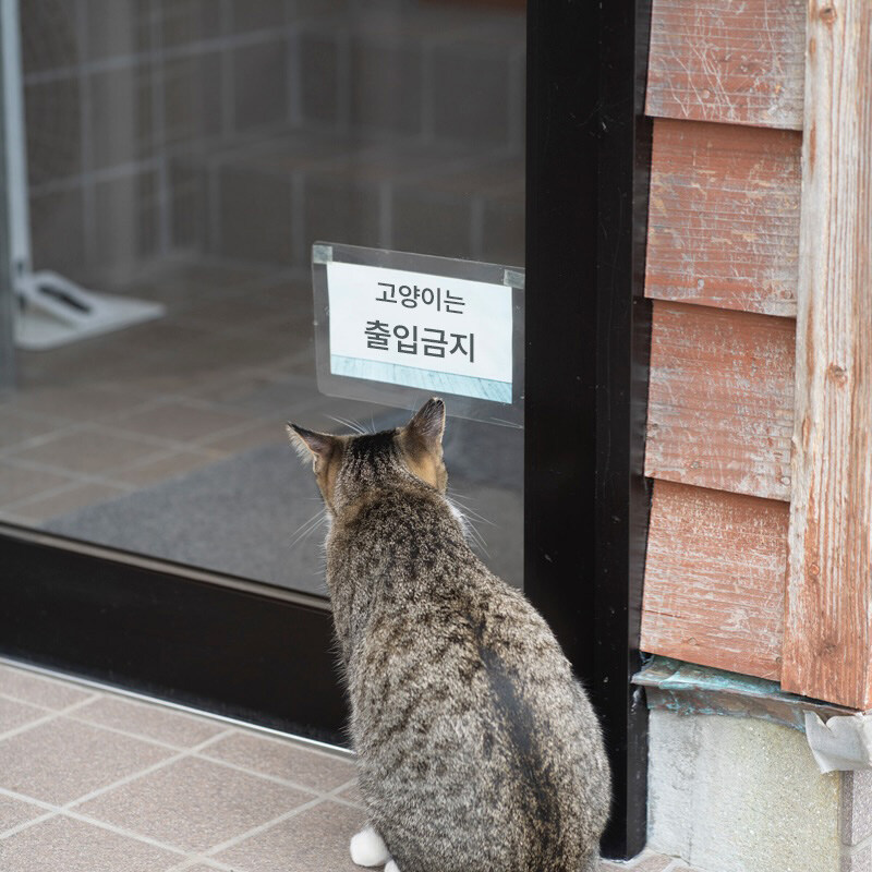 XispQl