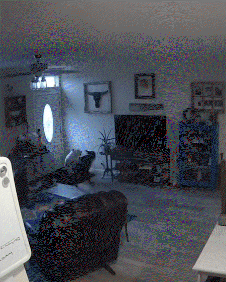 XiwXYS.gif