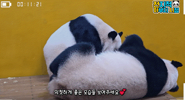 XjtNBt.gif