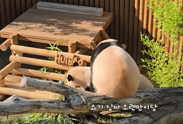 XkFALt.gif