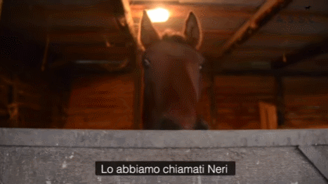 XkGNgA.gif