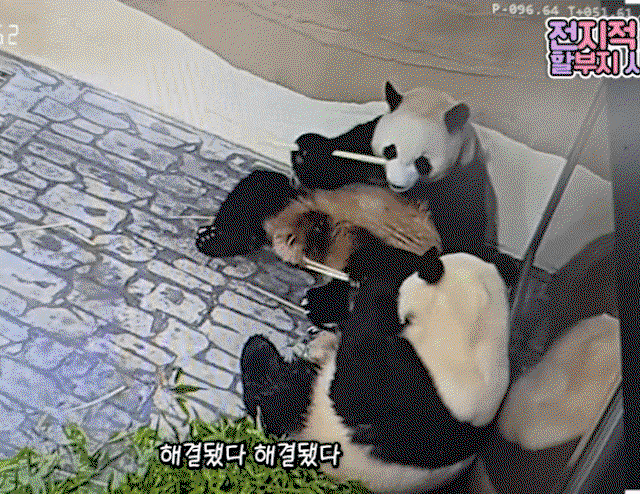 XmISGi.gif