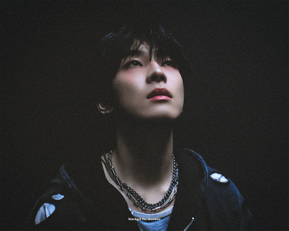 Xmxpld.gif