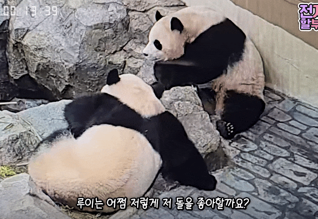 XnRfRA.gif