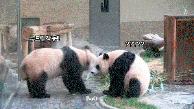 XpKLrK.gif