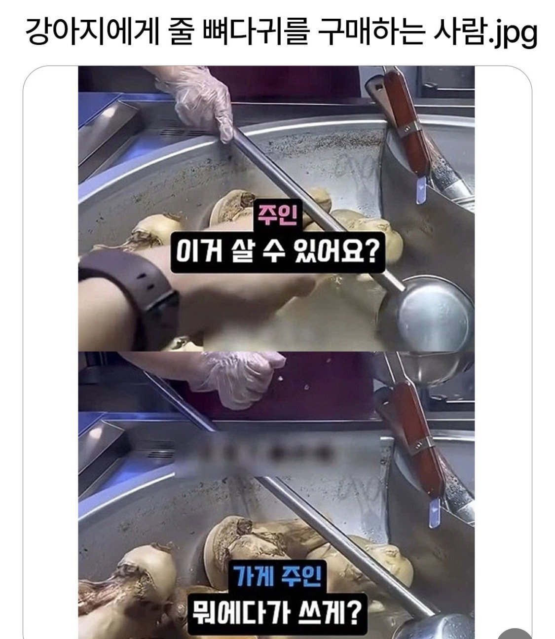 XplmPo