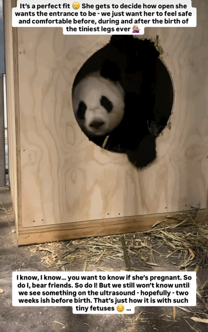 XqEJpc.gif