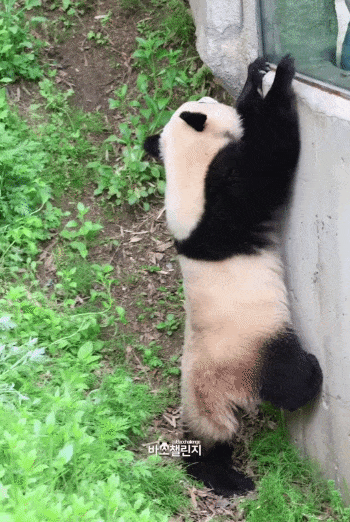 XruGxD.gif
