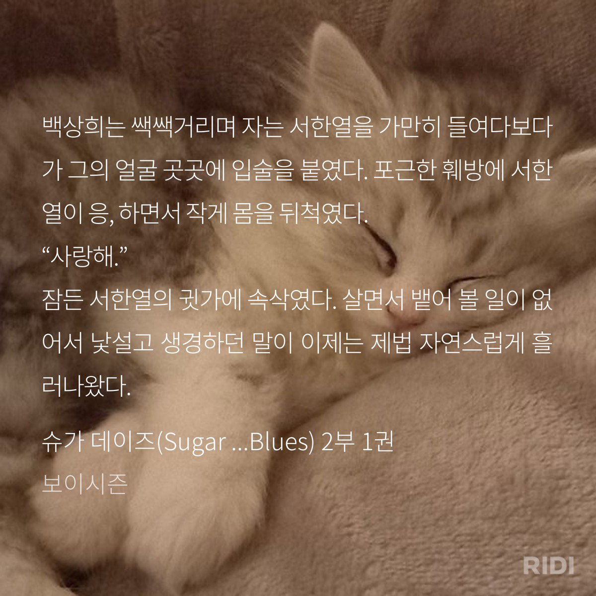XtPSQd