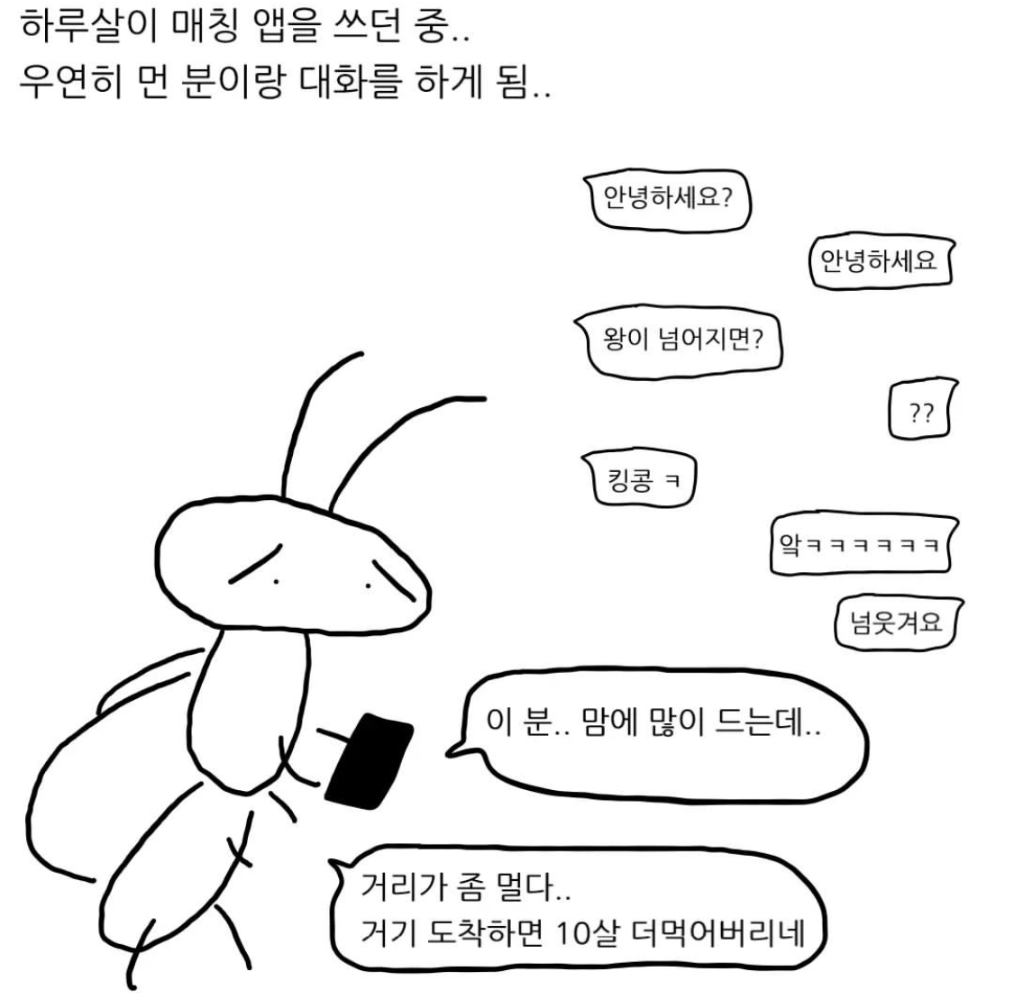 XtrtTY