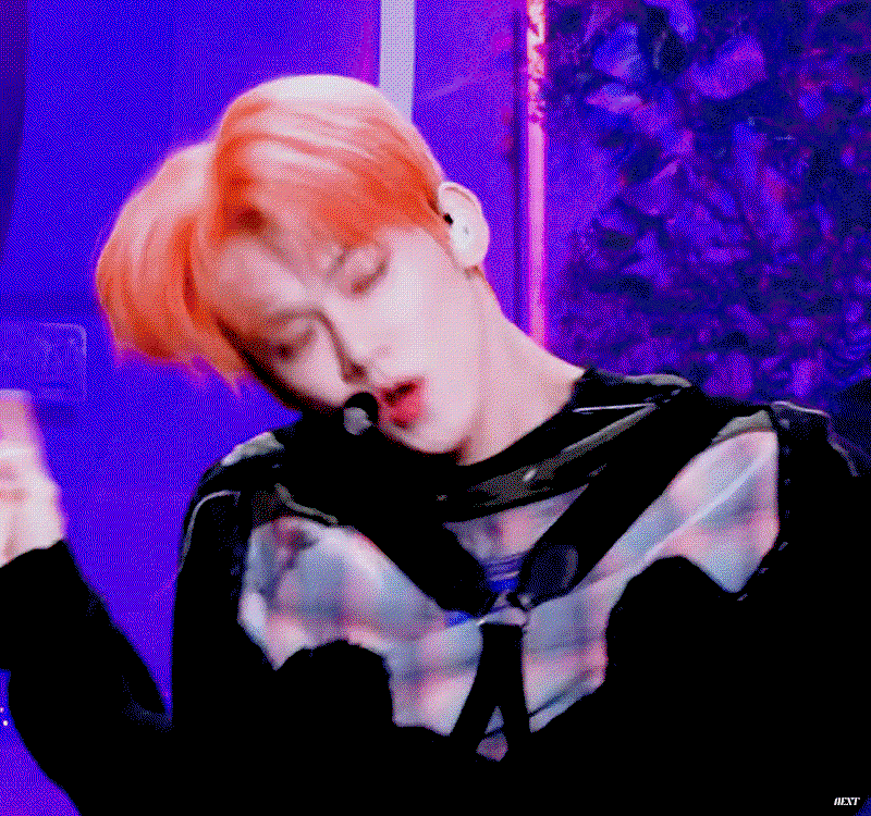 XuAcrF.gif