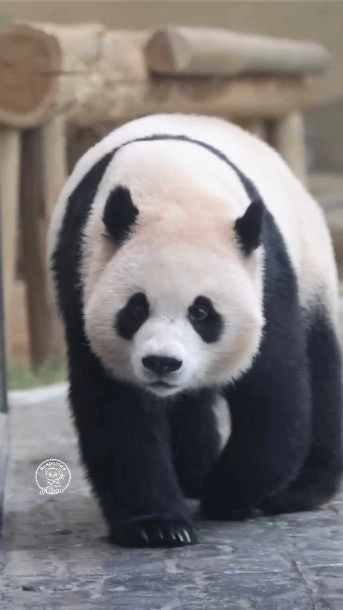 XuIBQR