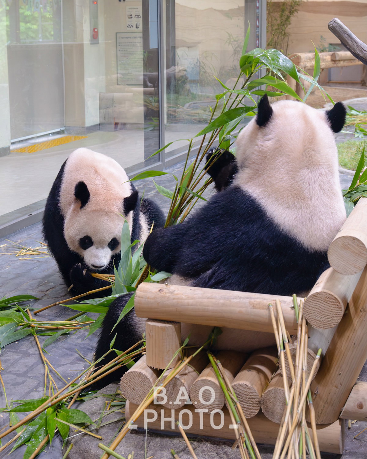 XuNeQb