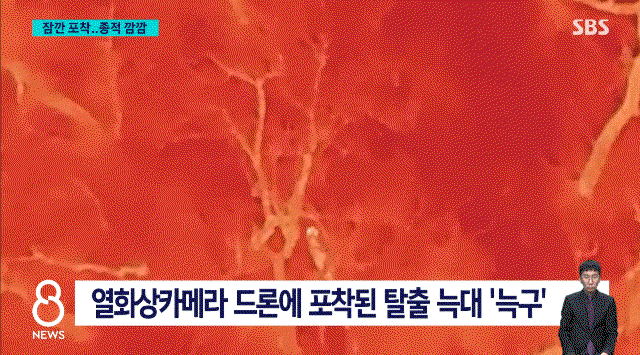 XuUMJW.gif