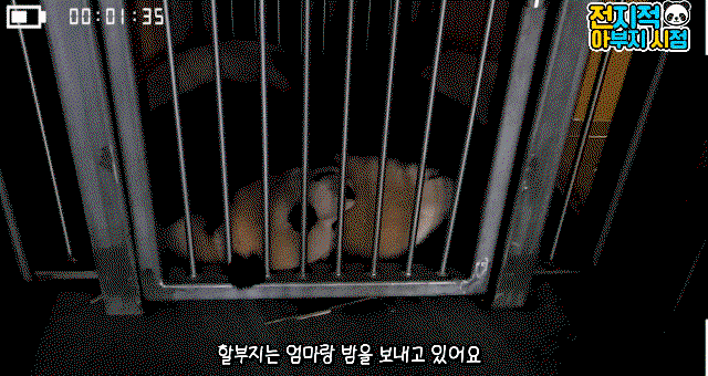 XulIpD.gif