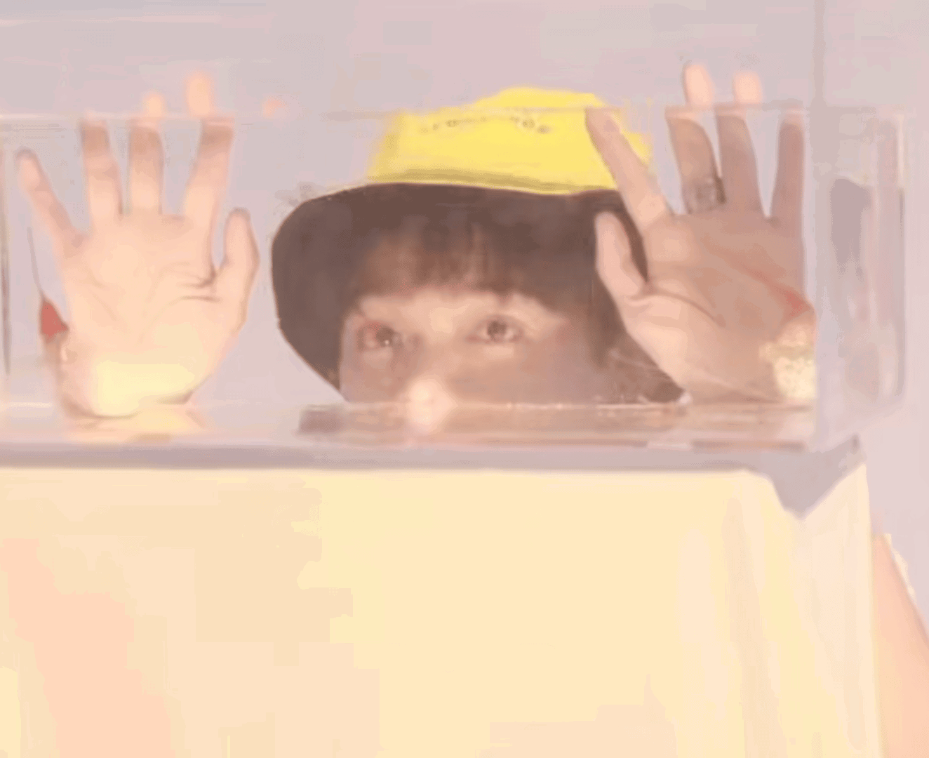 XvnuXd.gif