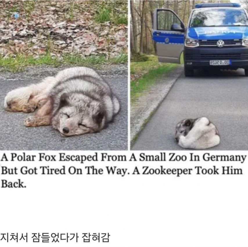 XxHOKQ