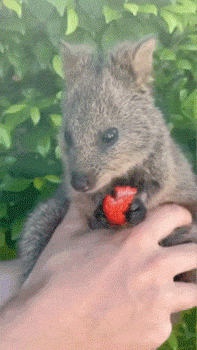 XxalqU.gif