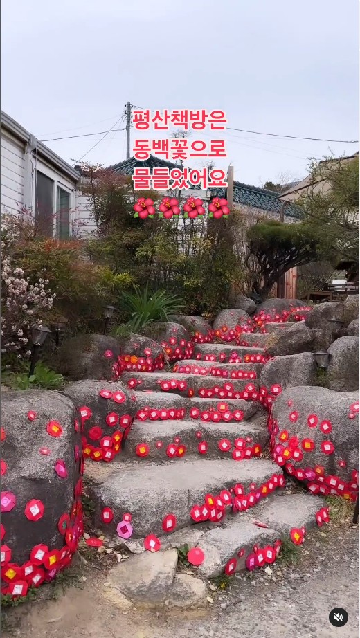 더쿠 - 평산책방 근황 (feat. 동백꽃)