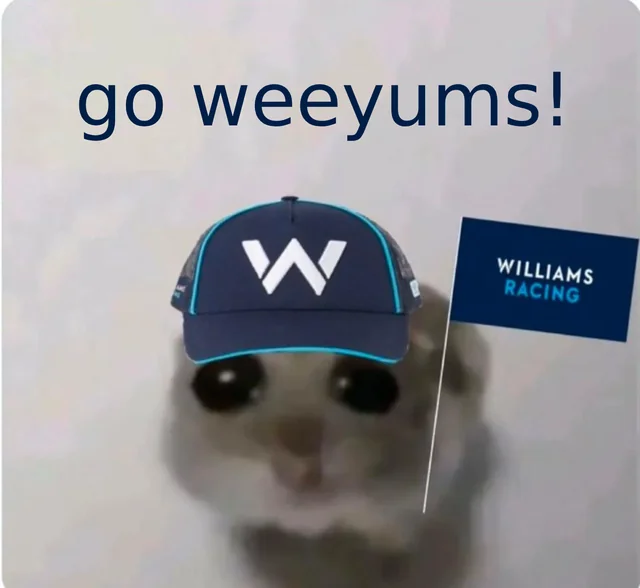 YAZJJs