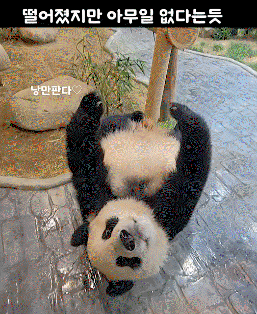 YAfQoF.gif