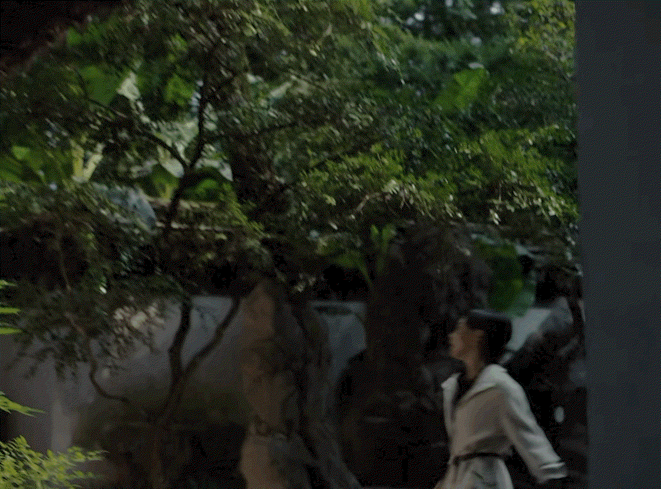 YCCGZQ.gif