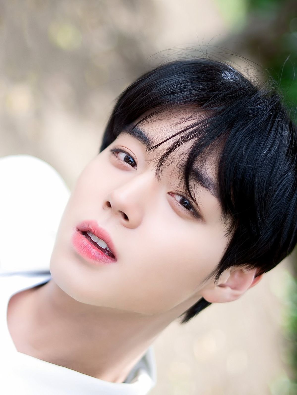 YDMJGT
