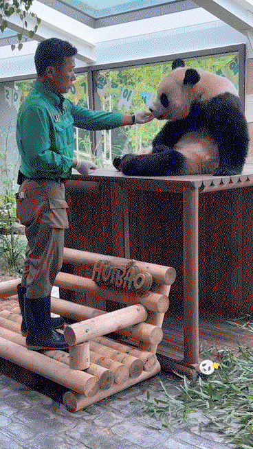 YEbHqg.gif