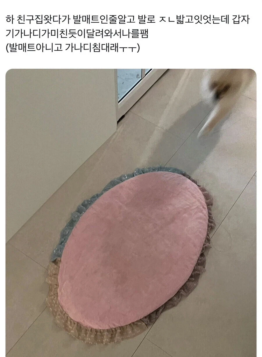 YJOpoP