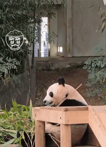 YJZfaC.gif