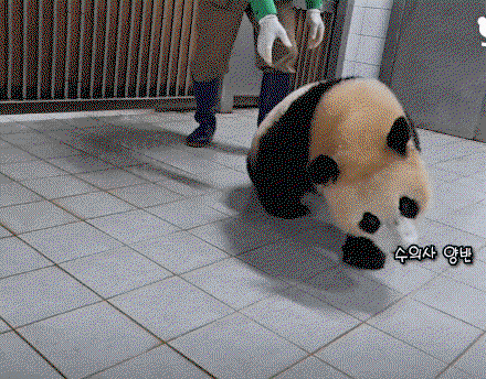 YMMXTY.gif