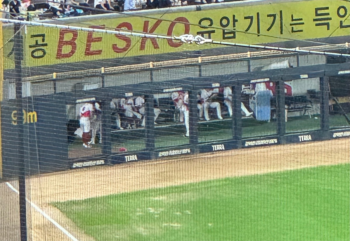 YMXpXD