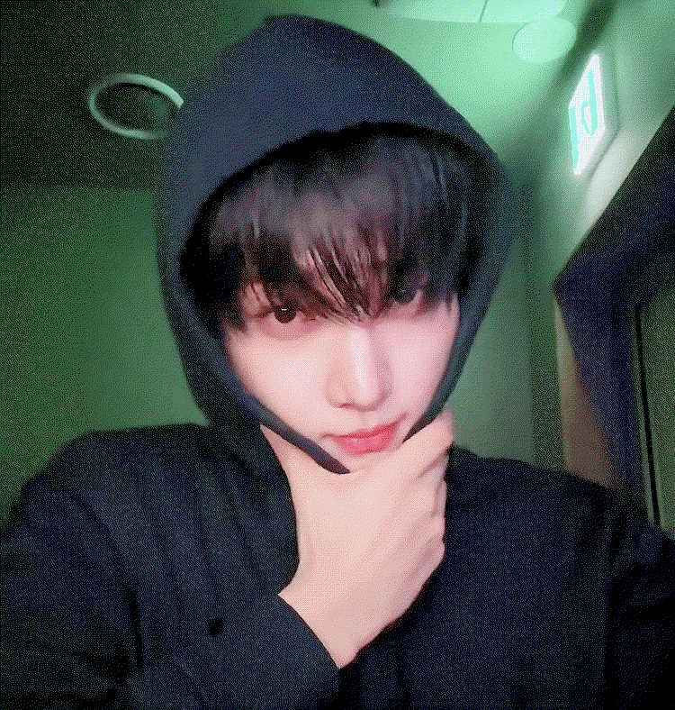 YOPhzN.gif