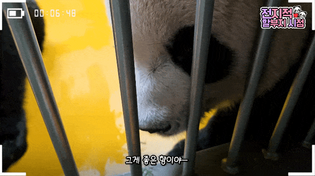 YPsrSr.gif