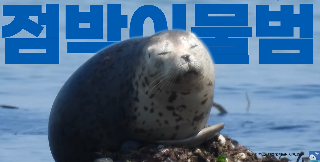 YQgpew