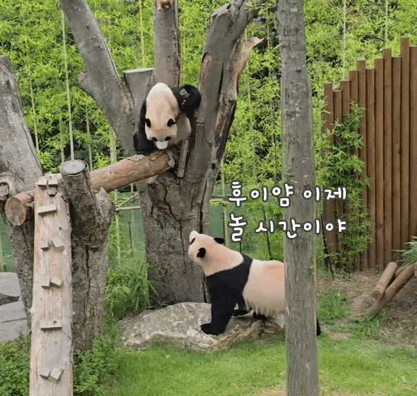 YQwoQZ.gif