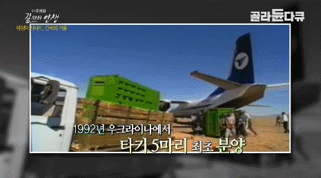 YSBLXm.gif