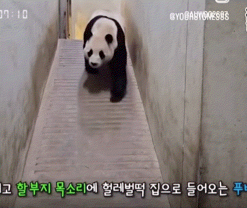 YSSUXu.gif