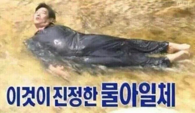 YSVLyE