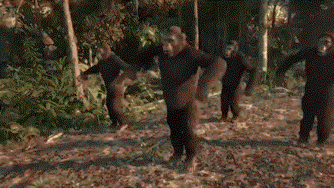 YVWgkB.gif