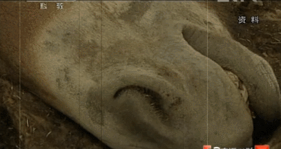 YWcuxs.gif