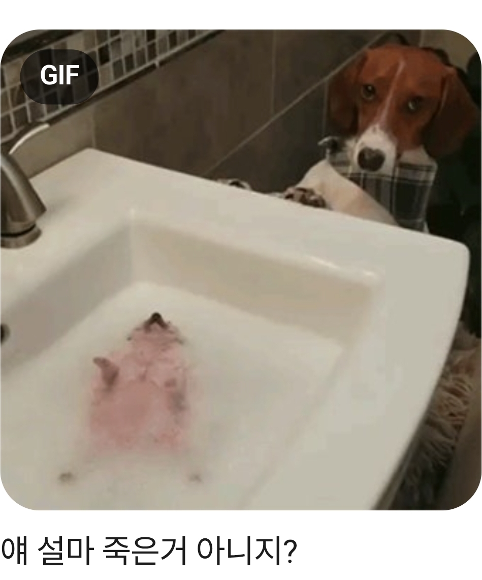 YXZfpP
