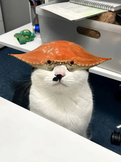 YXjKHl