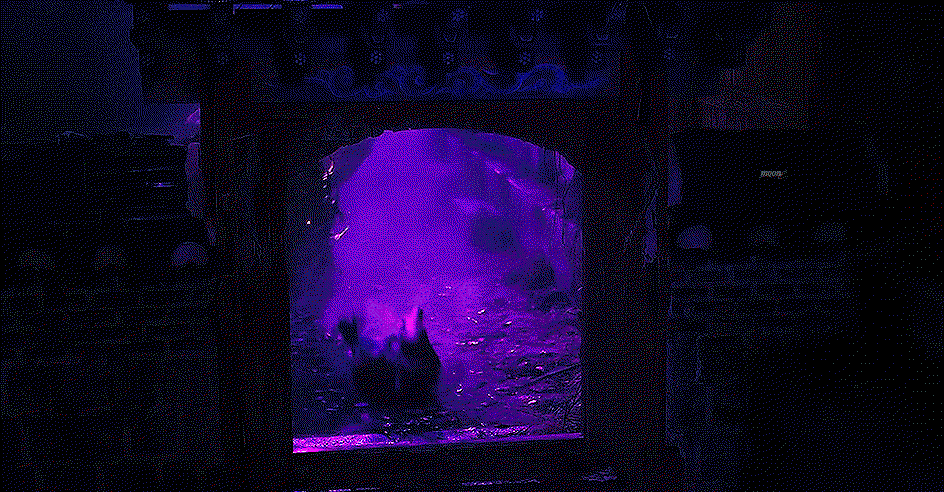 YZVSRP.gif