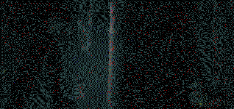 YapxjG.gif