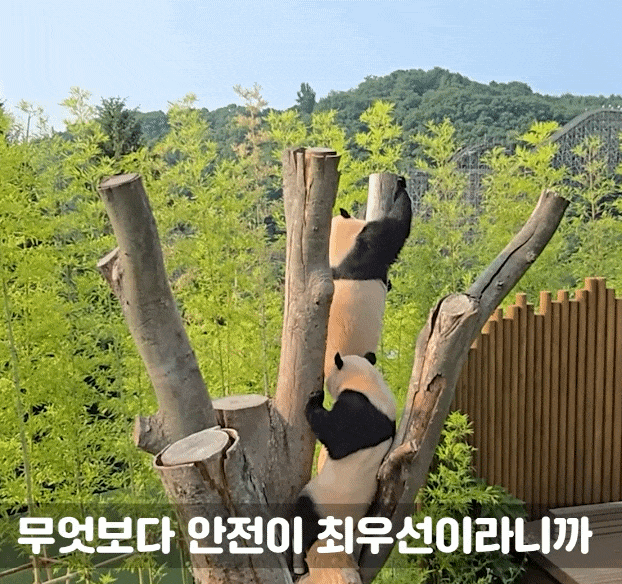 YezzHi.gif